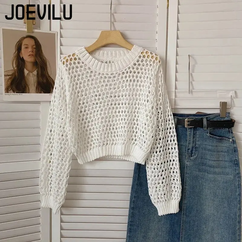 Hollow Out Knit Crop Top Women - Street Fashion In Korea review and price